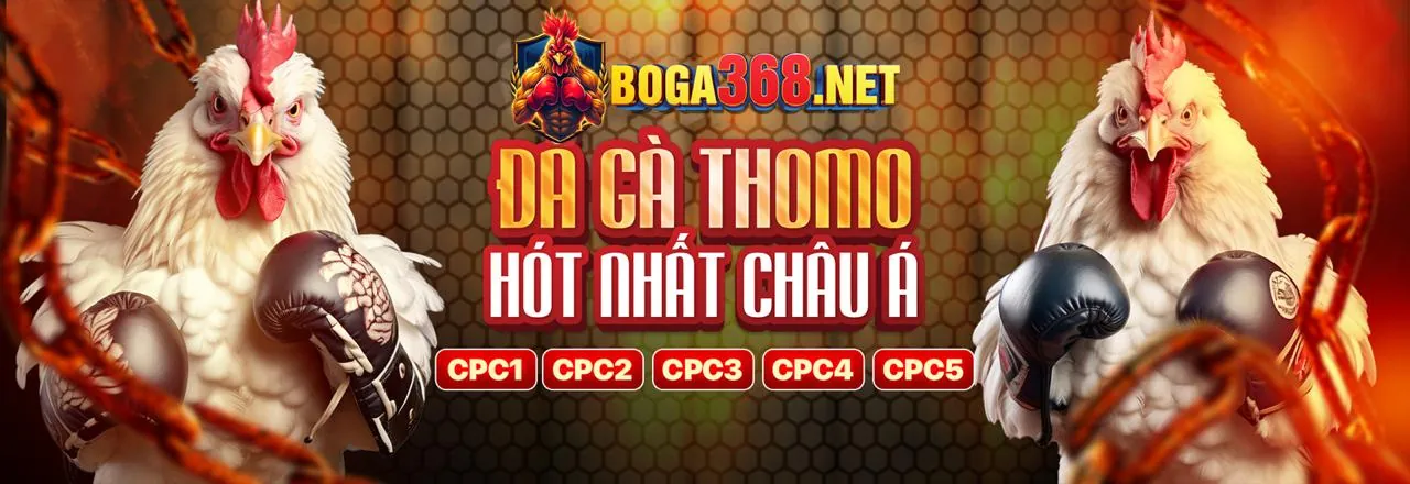 Đá Gà Trực Tuyến wibet chính thức